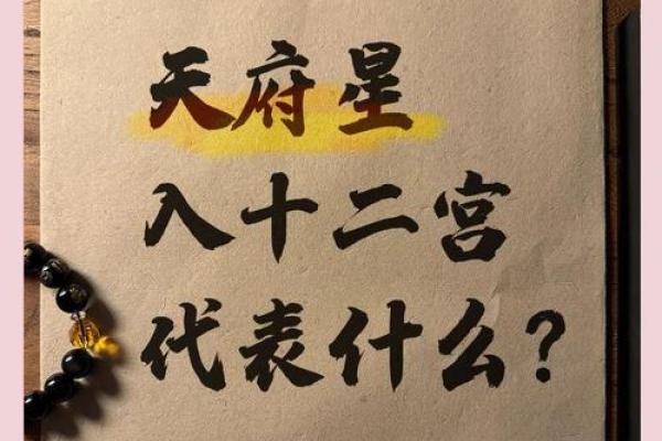 紫薇斗数独坐相会 紫薇斗数独坐相会