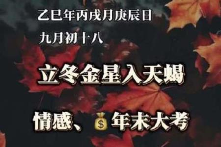 不会眼高手低，稳重求进的星座