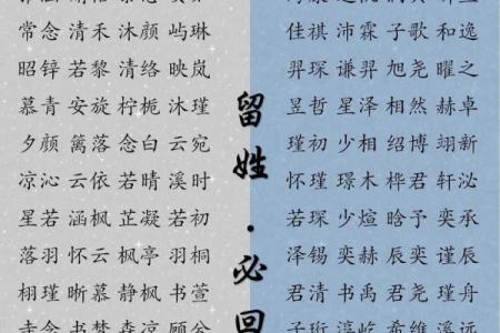 怎样给蛇辛时出生的男孩应该起名，宜用什么字姓名
