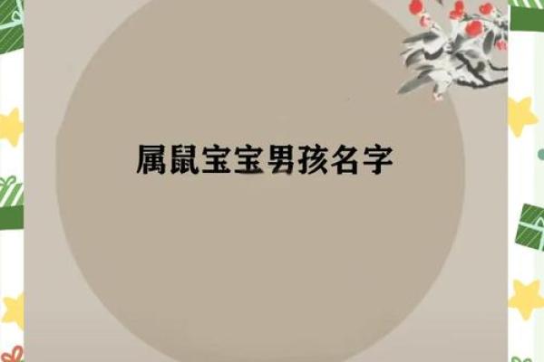 什么字适合给晚上11点出生的属鼠男孩起名姓名 什么字适合给晚上11点出生的属鼠男孩起名姓名