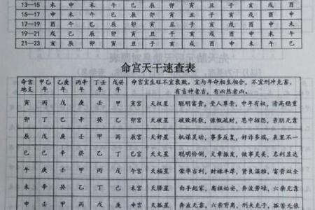 八字看配偶长相查询免费,八字配偶宫看配偶的能力和相貌