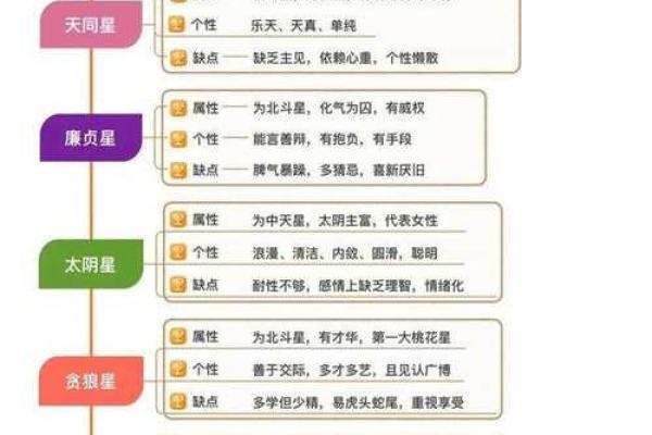 紫微斗数命盘解析：十二宫位