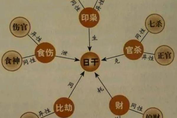 天干、地支、五行、十神是什么？超简单教你快速认识自己的八字