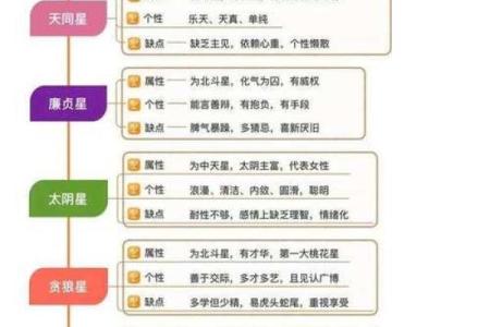 紫微斗数命盘解析：十二宫位