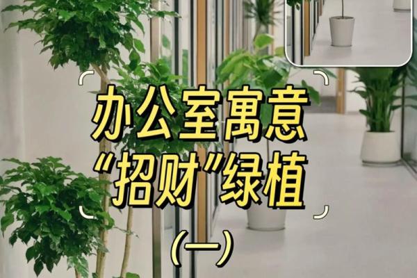 办公风水及住家风水的精妙之处 办公风水及住家风水的精妙之处