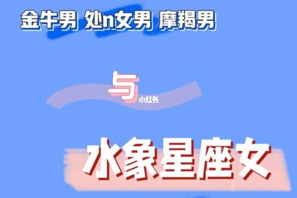 星座风象火象水象土星