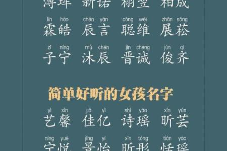 兔年女孩子起名字大全-兔年起名字姓名