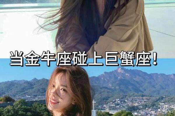 金牛座的后面是什么星座