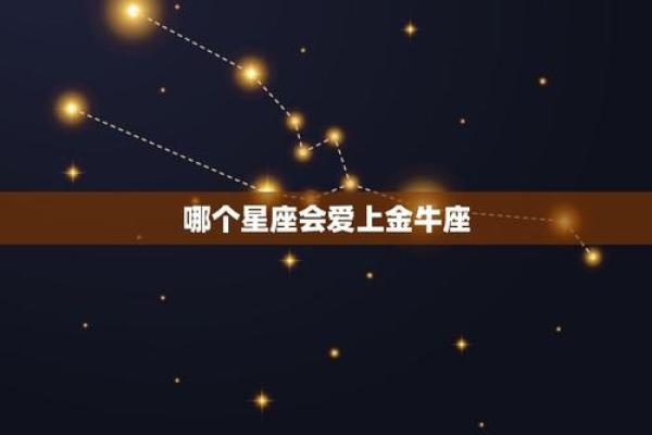 金牛座的后面是什么星座