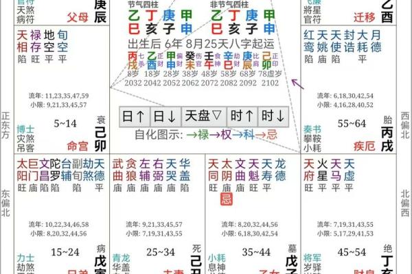 紫薇斗数测试APP