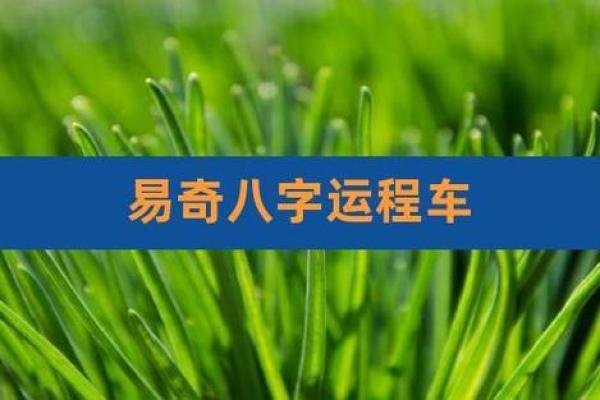 免费易奇八字,八字算命易奇