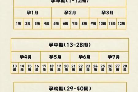 塔罗牌测试怀孕时间