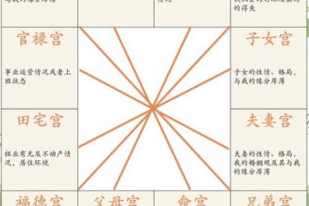 蓝天辰紫薇斗数案例