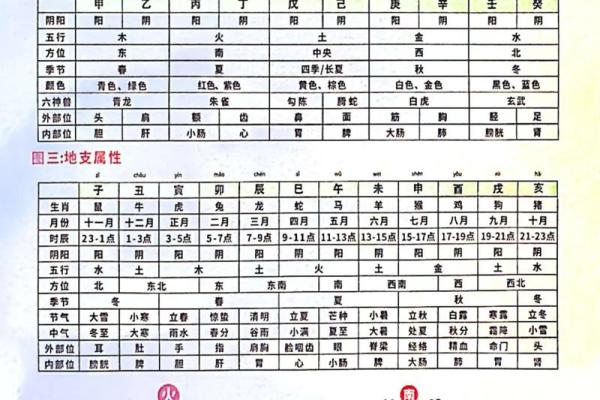 免费五行八卦算命,八字五行免费算命