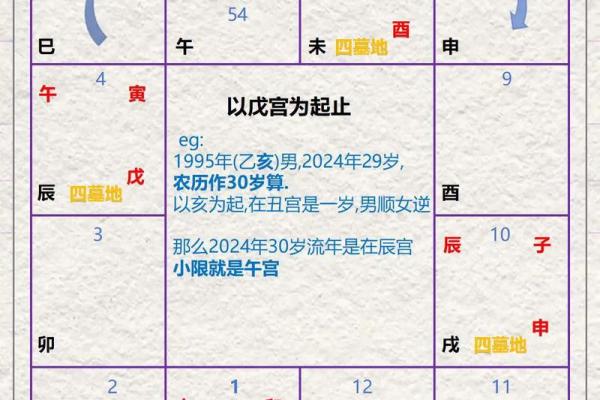 老鼠紫微斗数全书共几卷 老鼠 紫菀？