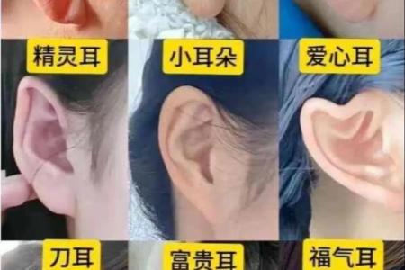 耳朵面相算命
