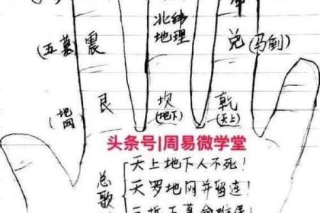 金口诀和八字哪个好学