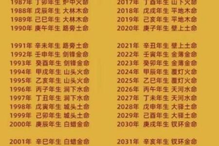 2024年12月14日出生的男宝宝八字命理 善言健谈欠缺沉着
