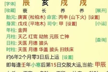 八字格局杂气偏印格女