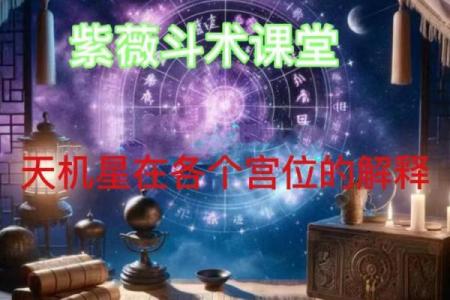 紫微斗数诸星落诸宫之：天机星子女宫详解