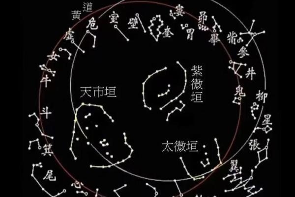 紫微斗数揭秘：你的富贵之路藏在星宿之中。