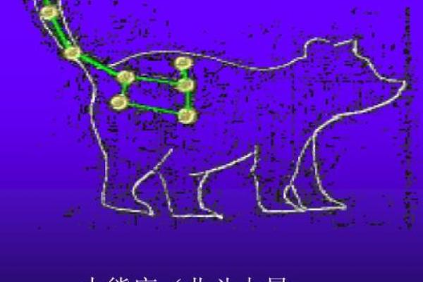 揭秘大熊星座性格特征及爱情运势，让你更了解自己