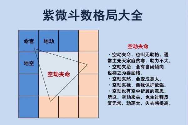 紫薇斗数主要看哪里