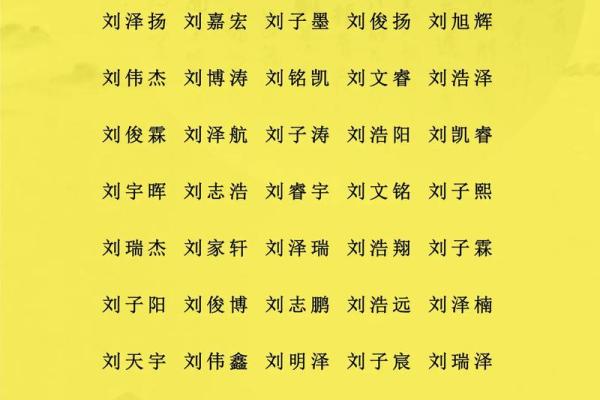 2019年6月28号卯时出生的男孩应该起什么样的名字姓名