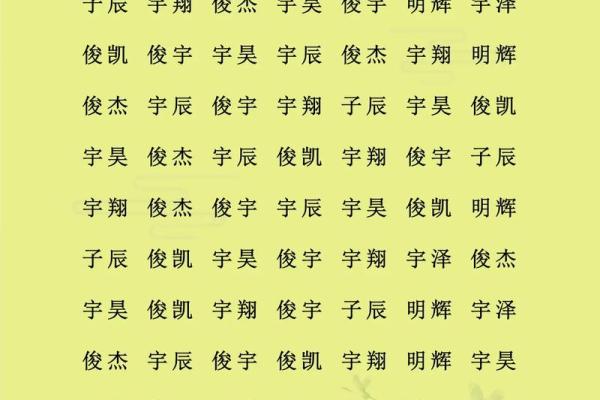 2019年6月28号卯时出生的男孩应该起什么样的名字姓名