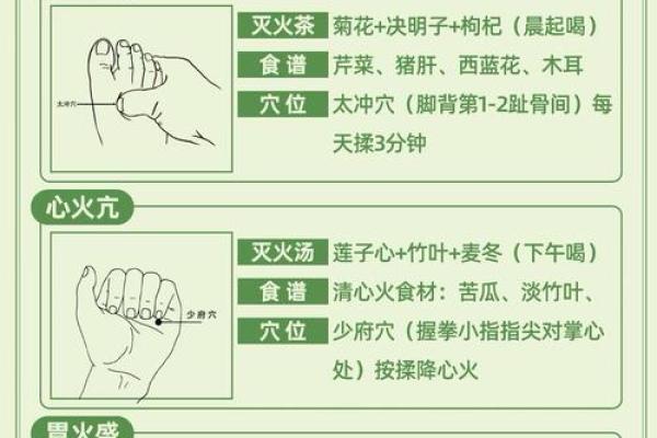 八字无火，如何调侯？养生之道帮你实现！