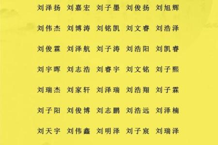 2019年6月28号卯时出生的男孩应该起什么样的名字姓名