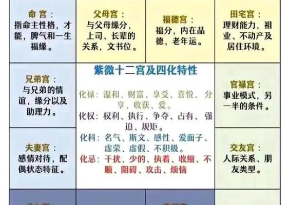 紫薇斗数 得怎么解释