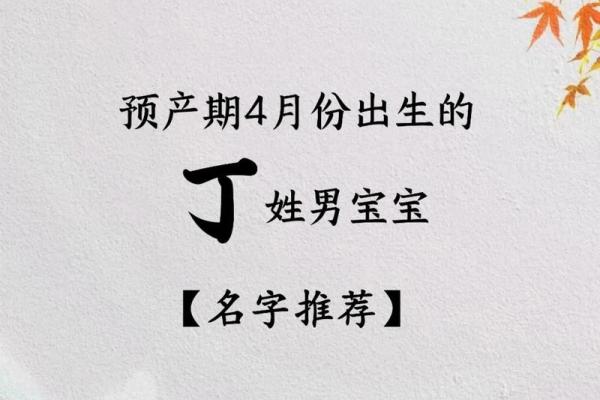 2019年4月19号丑时出生的男孩如何起名姓名