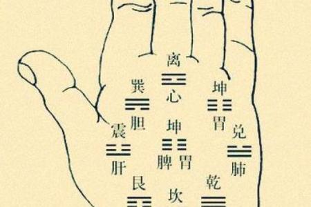 手相指纹算命图解