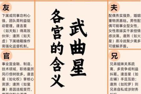 紫薇斗数看流年财富