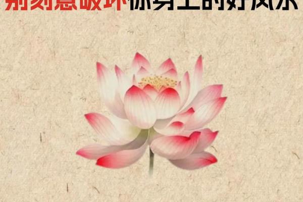 漏财的风水习惯你知道吗