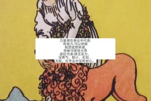 塔罗测试:九月事业运? 塔罗测试:九月事业运?