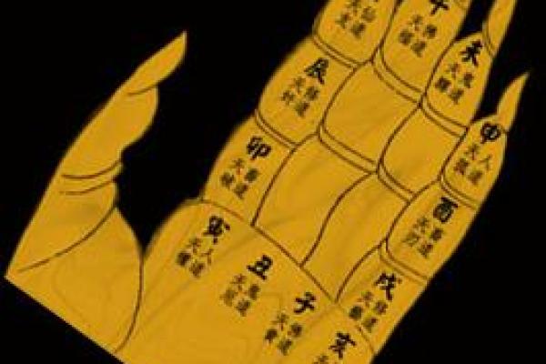 一掌经算命实例 一掌经算命实例