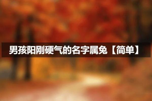 晚上出生属兔的男孩应该怎么样取名字呢？姓名