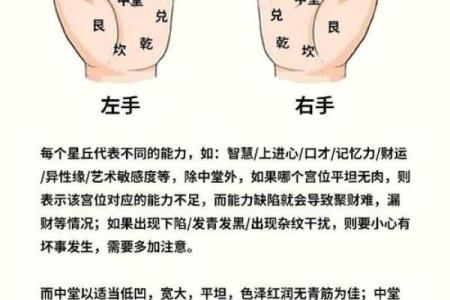 一掌经算命实例