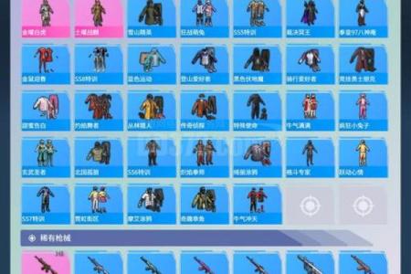 星座打吃鸡最适合的武器