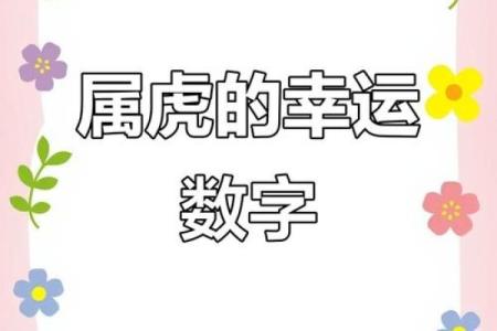 属虎八字