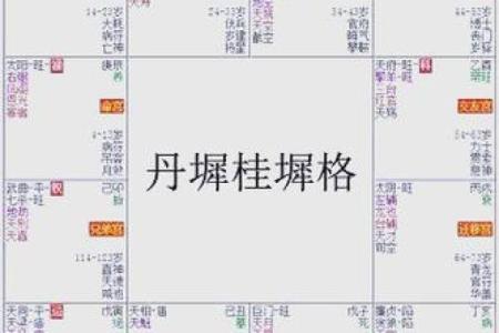 紫薇斗数丈夫富贵