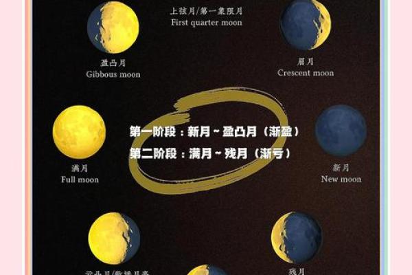 月亮星座是按农历算的吗