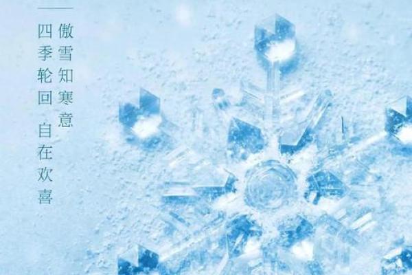 2019年大雪节气出生带雪字取名女孩名字,关于雪的唯美名字姓名 2019年大雪节气出生带雪字取名女孩名字,关于雪的唯美名字姓名