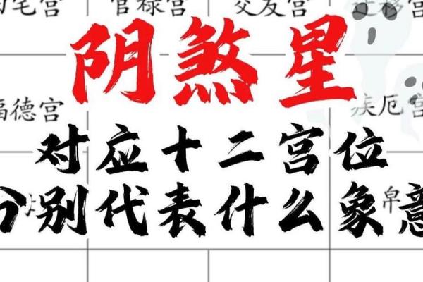 紫微斗数诸星落诸宫之:、其他星福德宫详解 紫微斗数诸星落诸宫之:、其他星福德宫详解