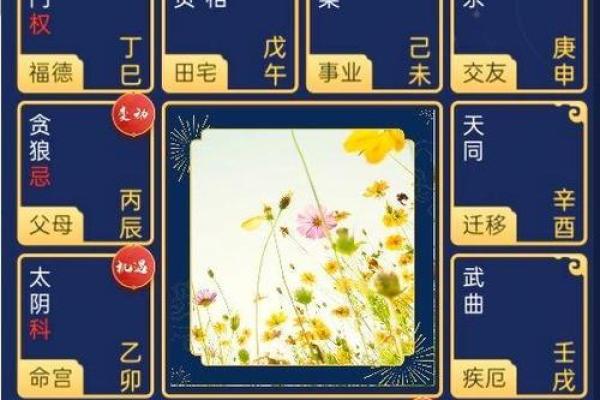 紫薇斗数无主星