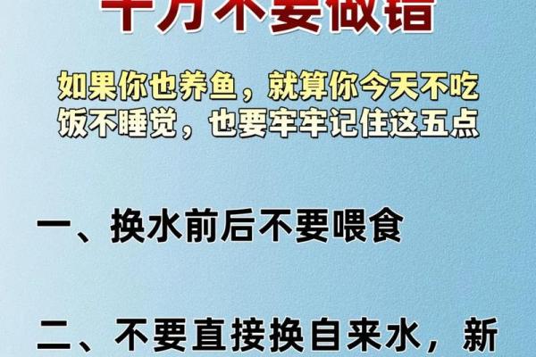 家里养鱼也是有一些风水禁忌的