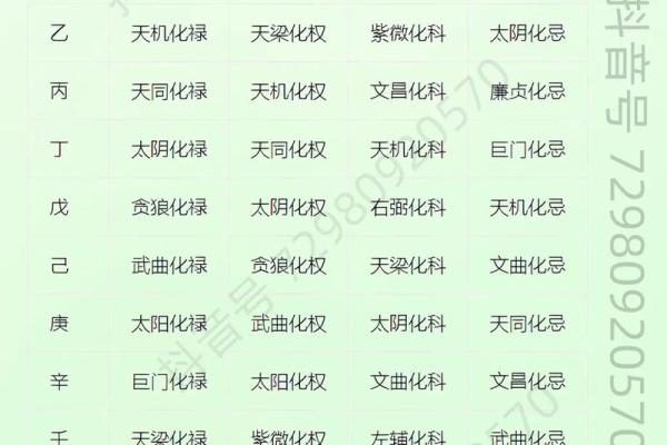 紫薇斗数音频教学