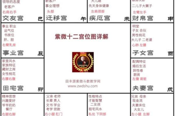 紫薇斗数先天命盘怎么看 紫薇斗数先天命盘怎么看